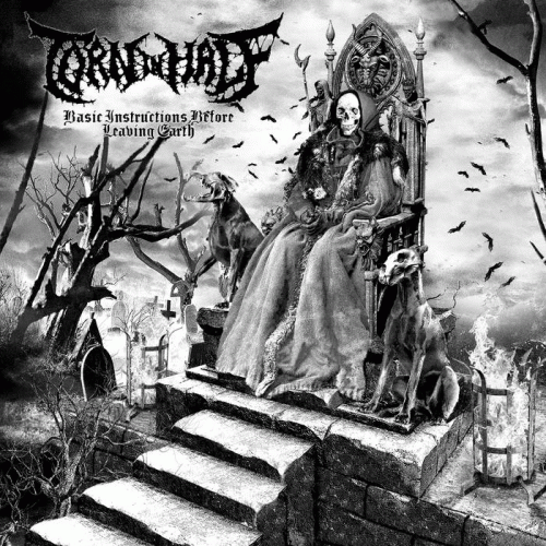 Torn In Half : Basic Instructions Before Leaving Earth